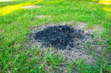 Koyu gri ve siyah kül kömürü çimlerin ve ağaçların yanında. Ateş yakmayı yasakla. Yangın tehlikesi kavramı.