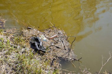 Doğadaki çöp plastiği. Çevre kirliliği. Ekolojik felaket. Yeşil kirli su.