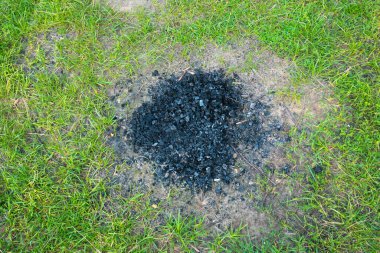 Koyu gri ve siyah kül kömürü çimlerin ve ağaçların yanında. Ateş yakmayı yasakla. Yangın tehlikesi kavramı.