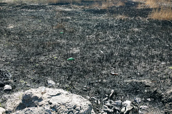Environment pollution. Dry and burnt grass. Plastic bottles on the bare ground. Ecological disaster.