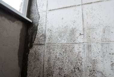 Evdeki duvarda bir sürü siyah küf mantarı büyüyor. Dampness problemi konsepti. Penceredeki buğulanma.