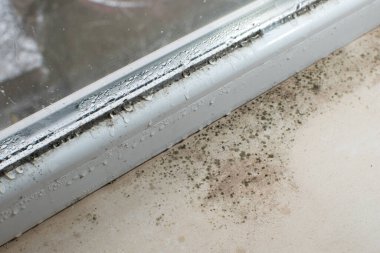 Black mold fungus growing on windowsill. Dampness problem concept. Condensation on the window.
