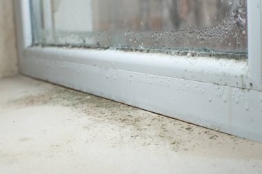 Pencere kenarında büyüyen siyah küf mantarı. Dampness problemi konsepti. Penceredeki buğulanma.