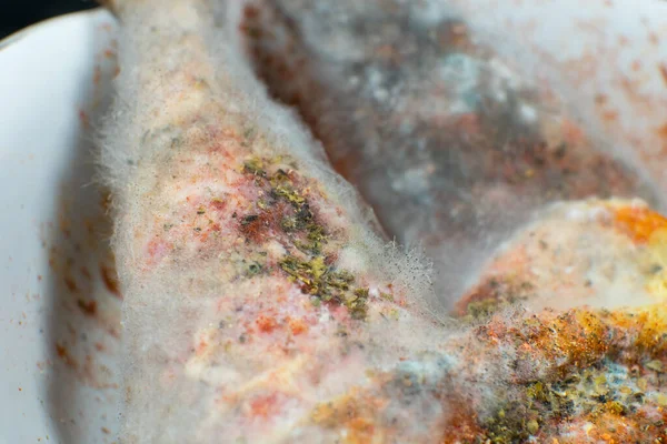 Carne Pollo Podrida Mohosa Malas Condiciones Conservación Cerca Comida Estropeada —  Fotos de Stock