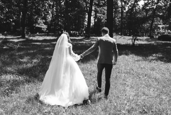 신부와 신랑은 공원에서 있습니다 결혼식 스토리 아름다운 드레스 레이스 — 스톡 사진