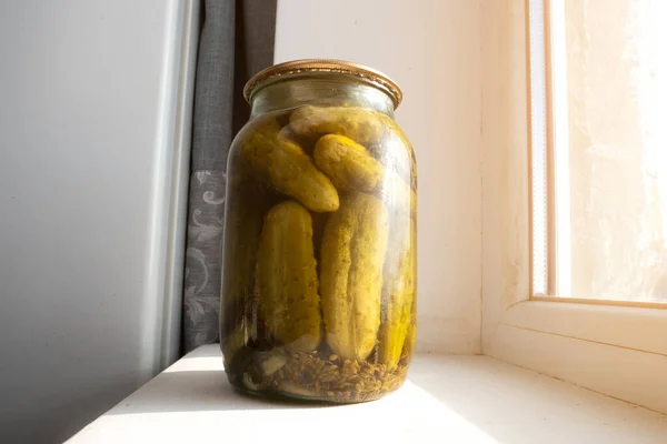 Zelfgemaakte Conservering Van Gezouten Gepekelde Komkommers Blik Glazen Pot — Stockfoto