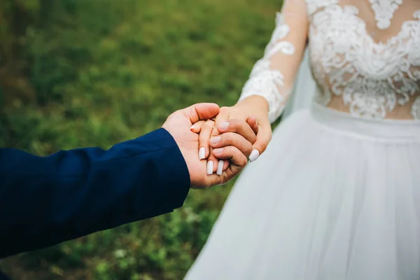 新郎和新娘手牵手 幸福的婚礼夫妇的照片 浪漫的摄影 白色长袖连衣裙 蕾丝面纱 — 图库照片