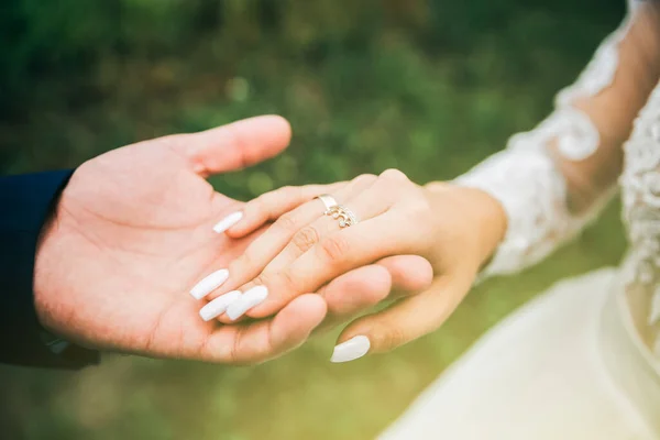 Bruidegom Bruid Houden Elkaars Hand Vast Gelukkige Huwelijksfoto Romantische Fotoshoot — Stockfoto