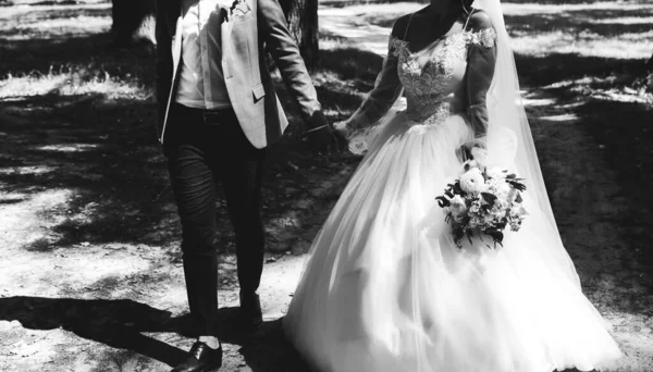 신부와 신랑은 공원에서 있습니다 결혼식 스토리 아름다운 드레스 레이스 아름다운 — 스톡 사진