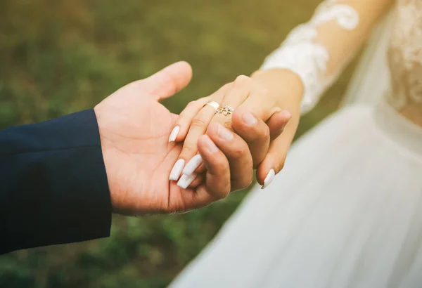 新郎和新娘手牵手 幸福的婚礼夫妇的照片 浪漫的摄影 白色长袖连衣裙 蕾丝面纱 — 图库照片