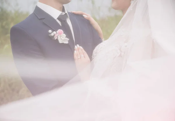 新郎新婦が抱き合っている 幸せな結婚式のカップルの写真 ロマンチックな写真撮影 長袖の白いドレス レースベール — ストック写真