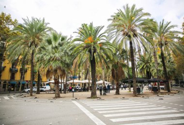 BARCELONA, SPAIN - OCTOBER 15, 2018:  Street with palm trees in Barcelona. City life. clipart