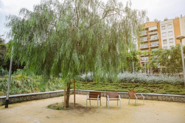 Modern park. Bankları ve ağaçları olan güzel bir meydan. Dinlenmenin zamanı geldi. Kentsel konfor.