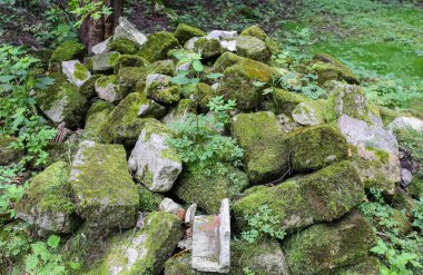 Dışarıda duran yosunlu tuğlalar. Doğal dokular.