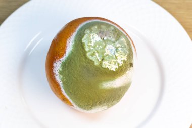 Küflü meyve. Çürük portakal. Bozulmuş portakal problemi.