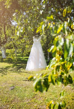 Güzel gelinlik yeşil ağaçta asılı. Düğün töreni için şık kıyafetler..