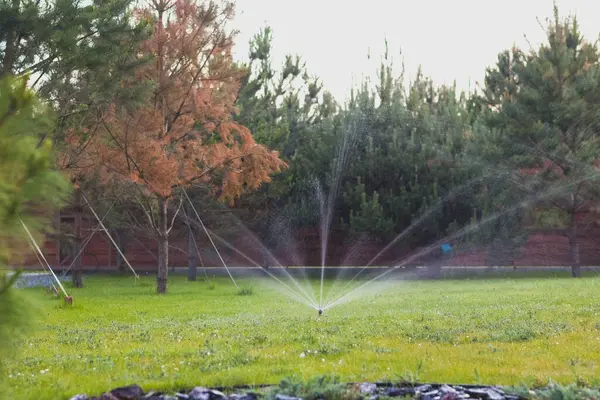 stock image Automatic lawn watering system. Sprinkler, Water spashes on green grass.