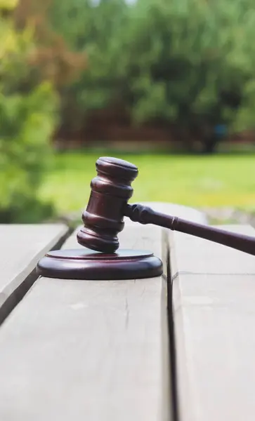 stock image Judge gavel for adjudication with wooden stand. Protection of nature, save forest, illegal logging. Stop deforestation. Law and justice concept. Court of law.