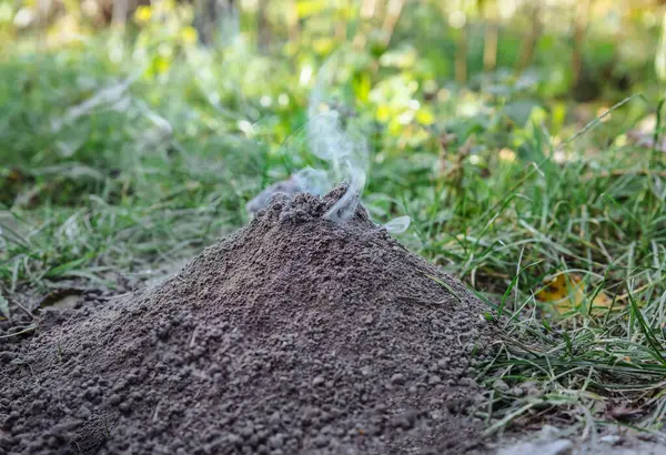 stock image Small burning volcano. Smoke from the pile of ground. Nature outdoors.