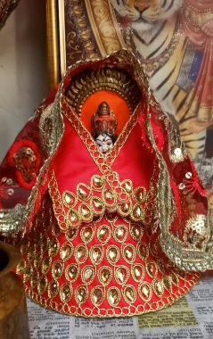 Lord Durga ji 'nin Hint ailesindeki güzel resmi. 