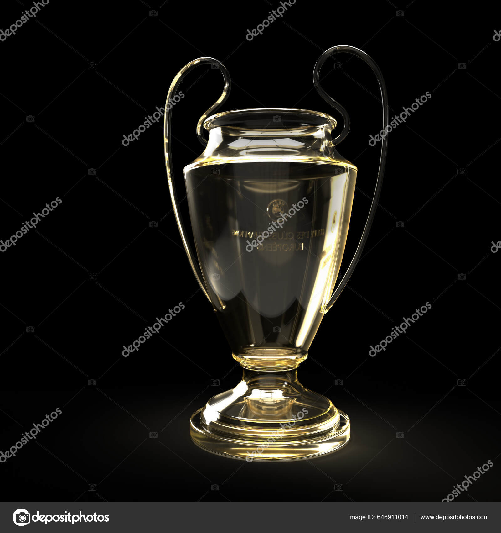 Uefa Euro Cup 2024 Celebration Winning Trophy Football Stadium