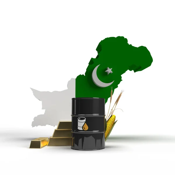 Pakisztán Térképe Renderelés Illusztráció — Stock Fotó