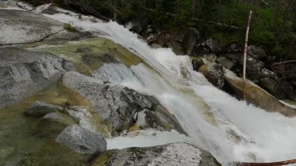 Szenische Ansicht Des Wasserfalls Wald — Stockvideo