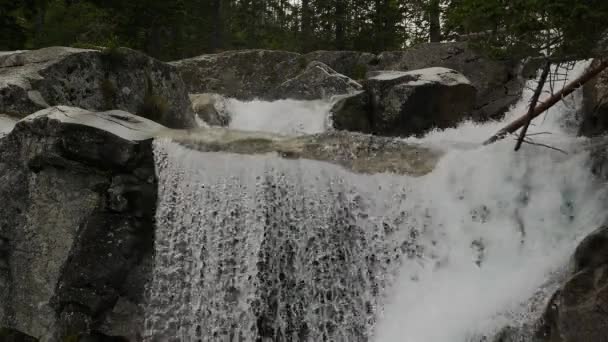 Scenic Kilátás Vízesés Erdőben — Stock videók