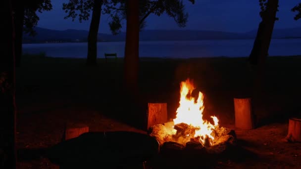 Wspaniałe Wieczorne Atmosferyczne Tło Ogniska Piękny Płomień Małego Magicznego Ogniska — Wideo stockowe