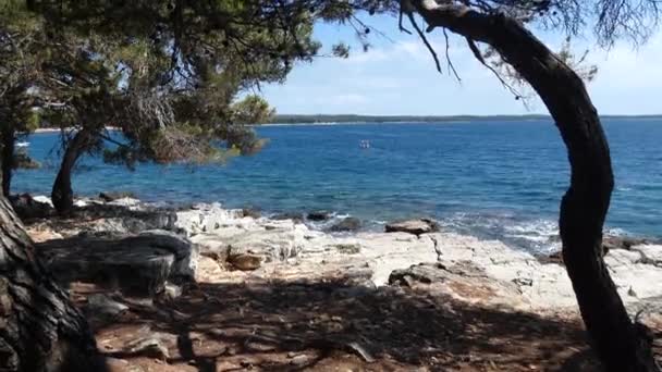 Vista Para Mar Adriático Ilha Cres Croácia — Vídeo de Stock