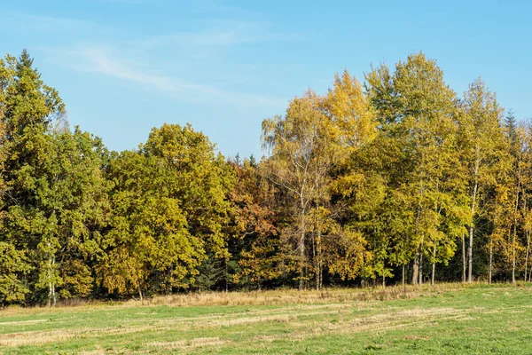 stock image Autumn landscape with trees and blue sky