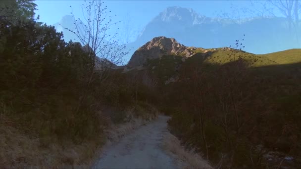 Ścieżka Leśna Między Drzewami Tle Gór Tatry Wysokie Słowacja — Wideo stockowe