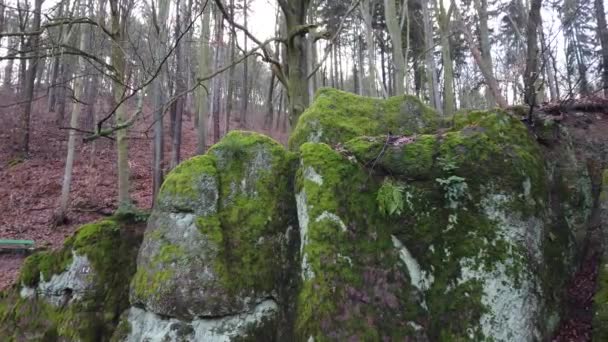 Mousse Couverte Formations Rocheuses Forêt — Video