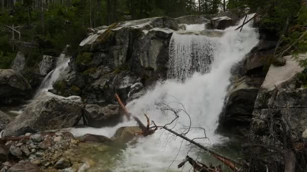 Vista Panorâmica Cachoeira Floresta Eslováquia — Vídeo de Stock