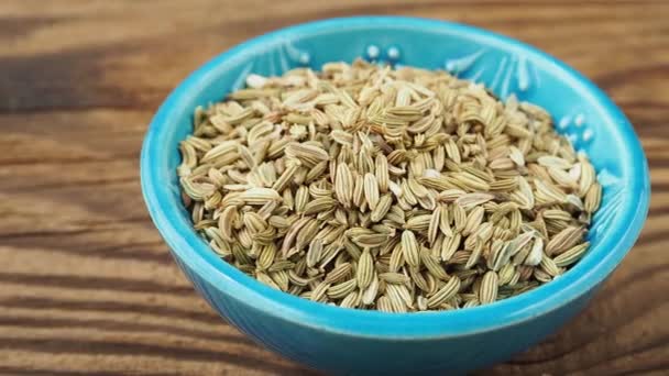 Dried Fennel Seeds Bowl — Stock Video