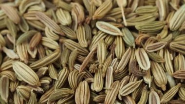 Dried fennel seeds pile close up