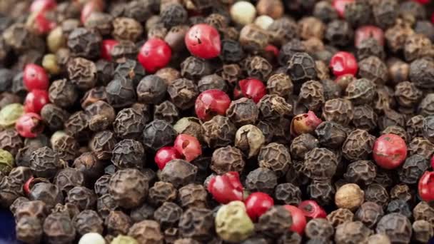 Sokszínű Bors Kukorica Színes Gabonák Keveréke Száraz Fűszernövények — Stock videók