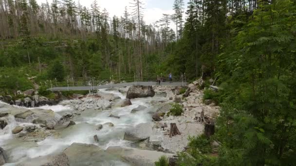 Vista Panorâmica Cachoeira Floresta Eslováquia — Vídeo de Stock