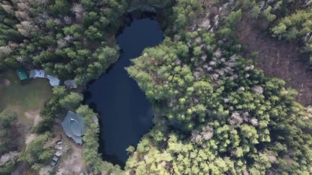 Sjön Omgiven Träd Vackert Landskap Antenn Drönare Skott — Stockvideo