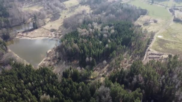 See Umgeben Von Bäumen Schöne Landschaft Aus Der Luft Drohne — Stockvideo