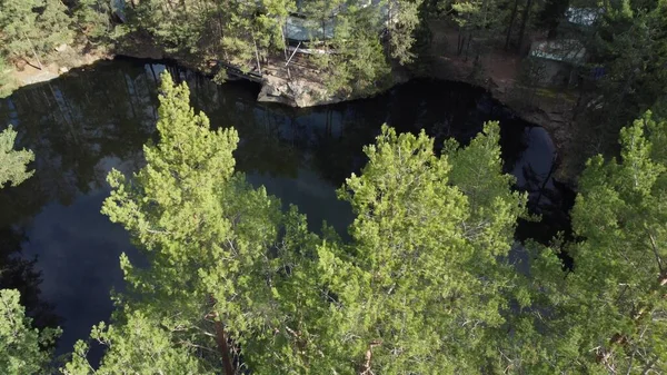 Lacul Înconjurat Copaci Peisaj Frumos Drone Aeriene Împușcat Fotografie de stoc