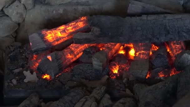 Fuego Recientemente Encendido Con Troncos Madera Llamas Troncos Madera Quemados — Vídeos de Stock