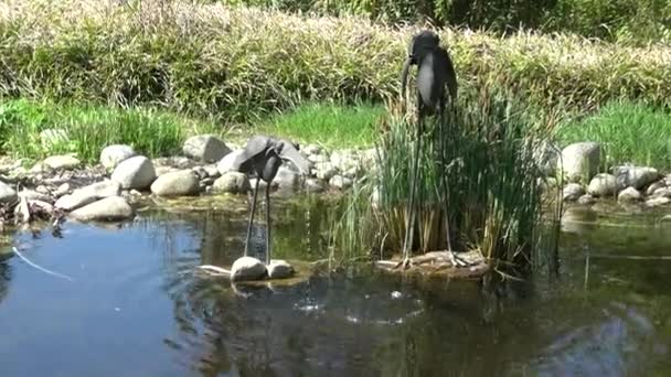 庭に噴水のある池 鳥の金属装飾彫刻 — ストック動画