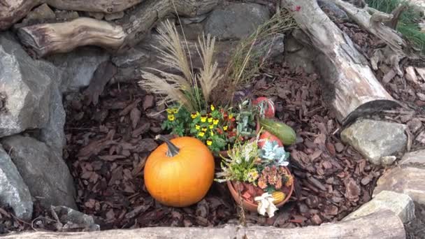 Herbstliche Gartendekoration Konzept Von Thanksgiving Day Oder Halloween — Stockvideo