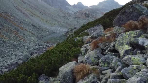 Landschappelijk Uitzicht Bergen Hoge Tatra Slowakije — Stockvideo