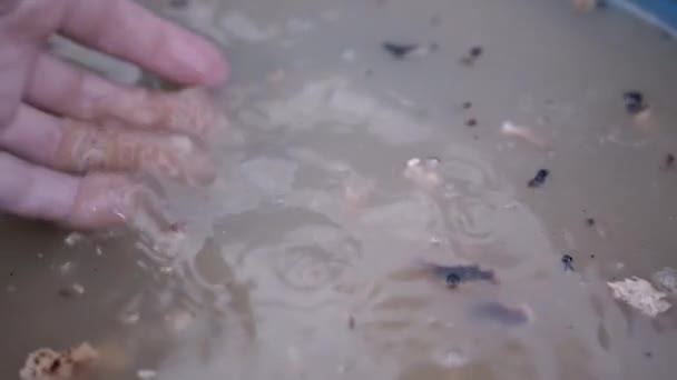Žena Myje Ruce Umyvadle Naplněné Špinavou Blátivou Vodou Detailní Záběr — Stock video