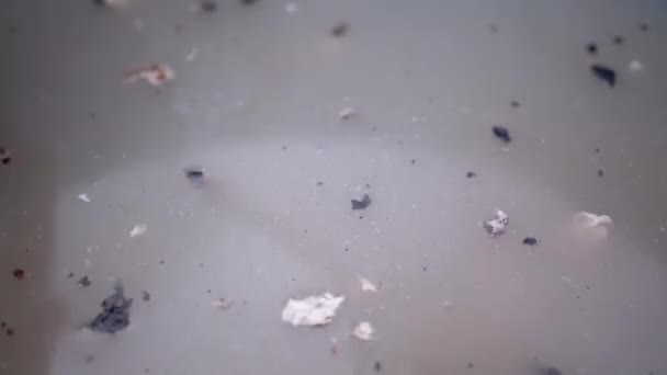 Žena Myje Ruce Umyvadle Naplněné Špinavou Blátivou Vodou Detailní Záběr — Stock video