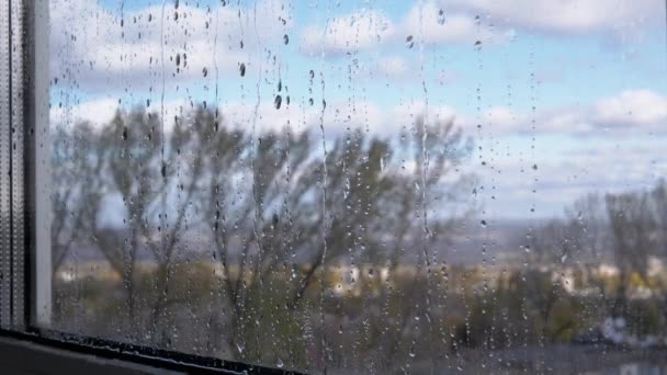Regentropfen Fließen Vor Einem Verschwommenen Hintergrund Aus Wolken Himmel Und — Stockvideo