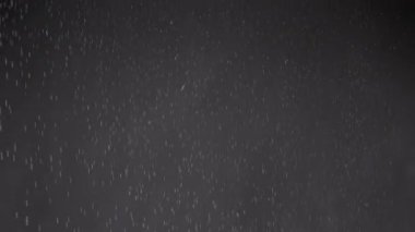 Düşen Konfeti Akıntısı, Toz Parçacıkları ve Kara Arkaplanda Kar Düşüşü. Bulanık soyut dinamik arka plan, uçan süsler, kar taneleri, bulutlu dumandaki beyaz toz. Yıldız tozu, havai fişekler.