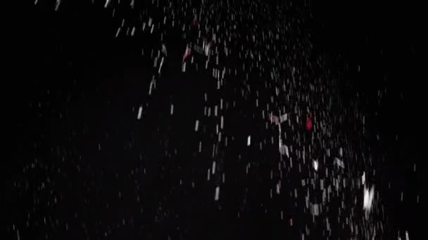 Flusso Cadute Confetti Particelle Polvere Nevicate Sfondo Nero Sfondo Dinamico — Video Stock